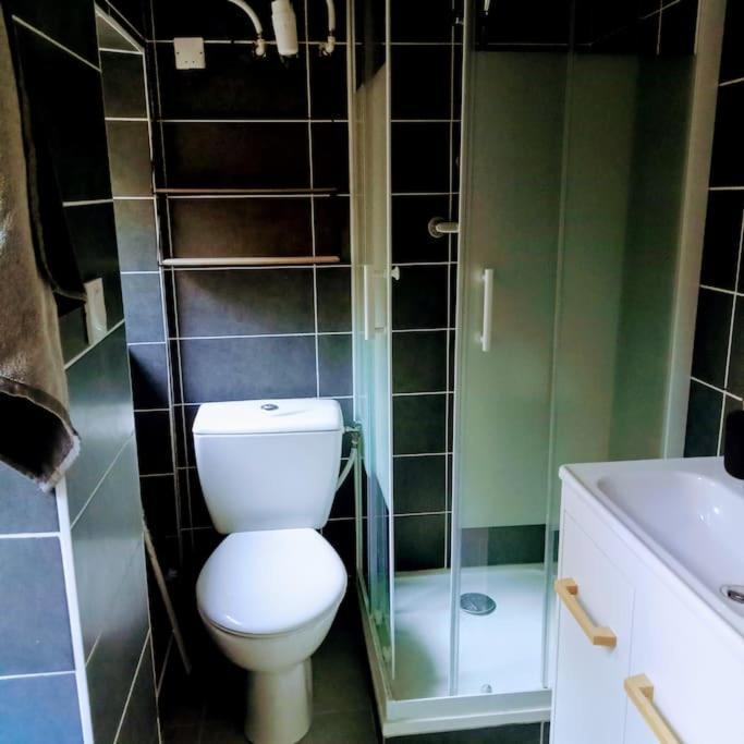 Le Cosy Chaleureux Appartement Сент-Этьен Экстерьер фото